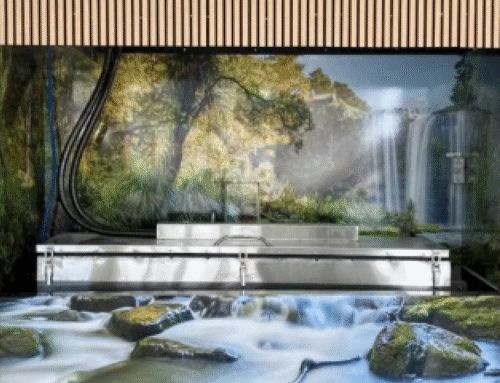 Water Cremation with Traditional Funerals