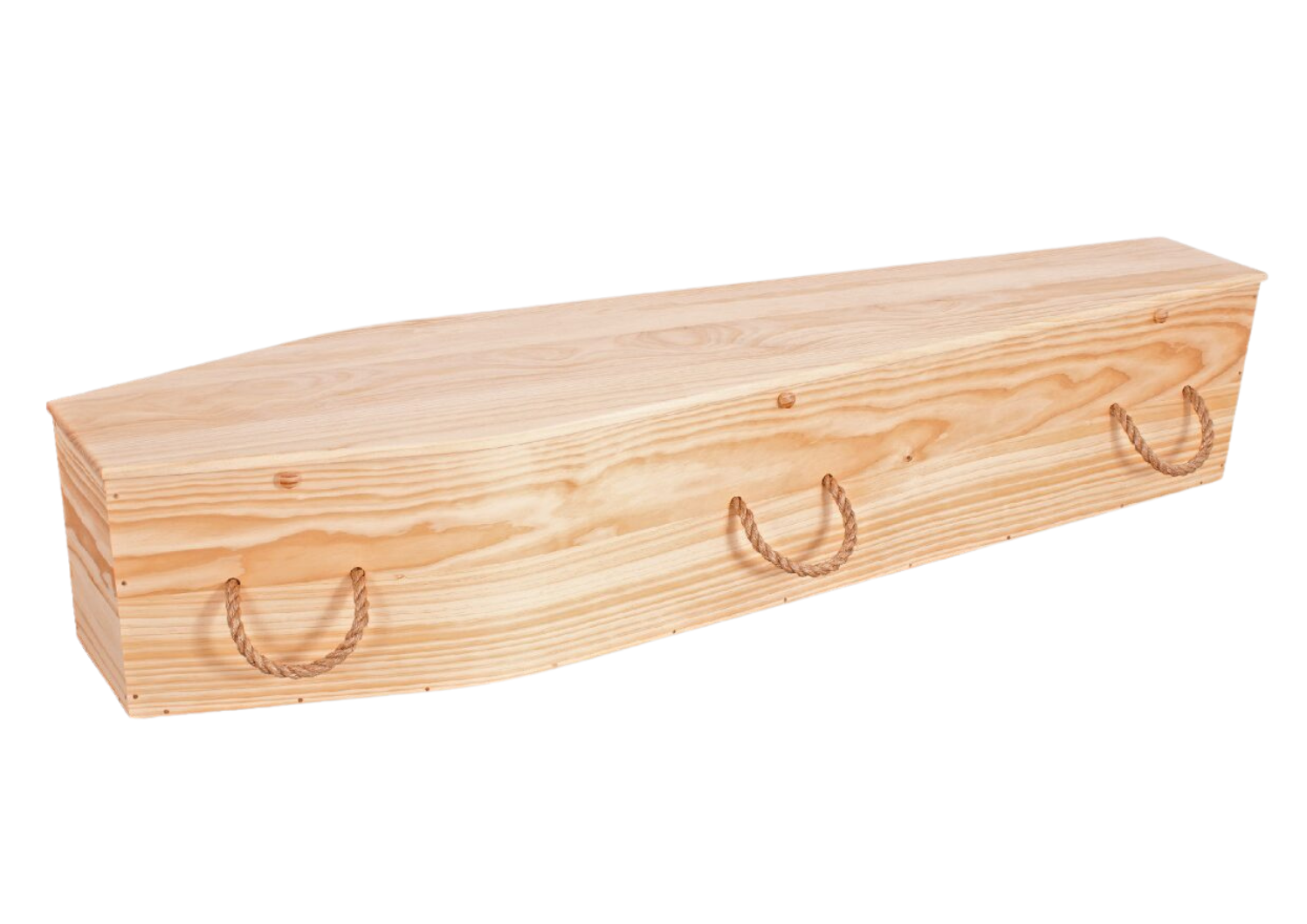 Enviro Coffin