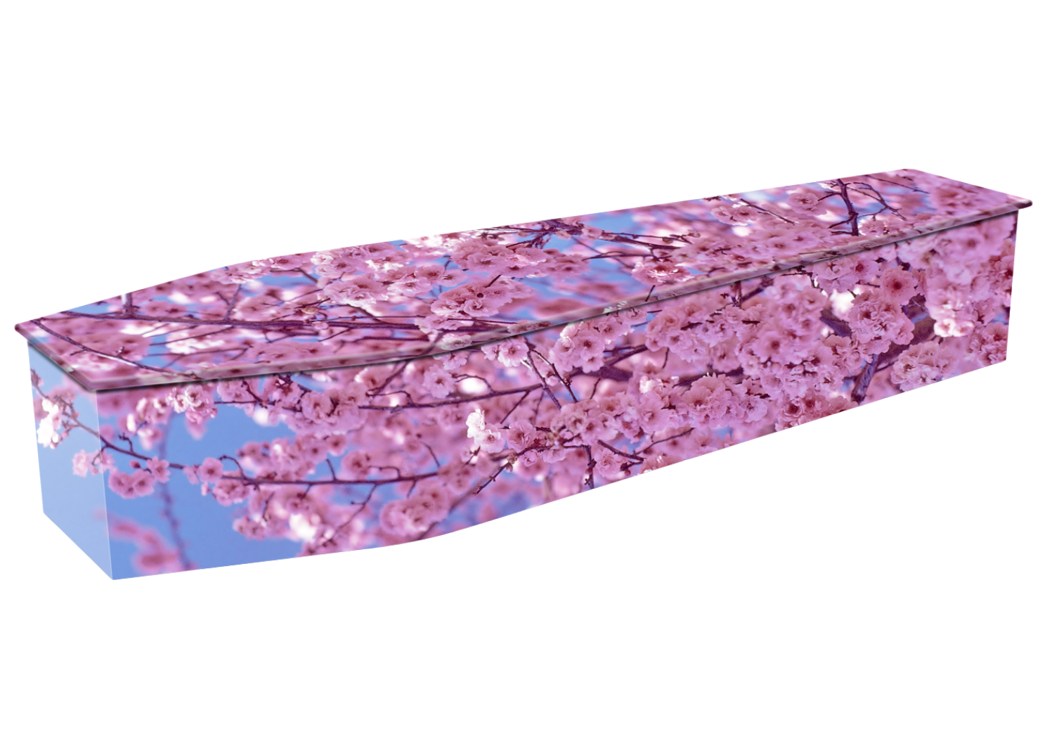 PINK BLOSSOM